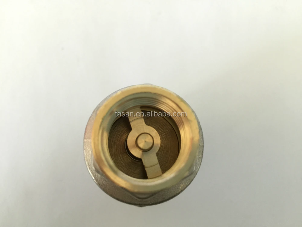 S4182 Brass Foot Valve with net