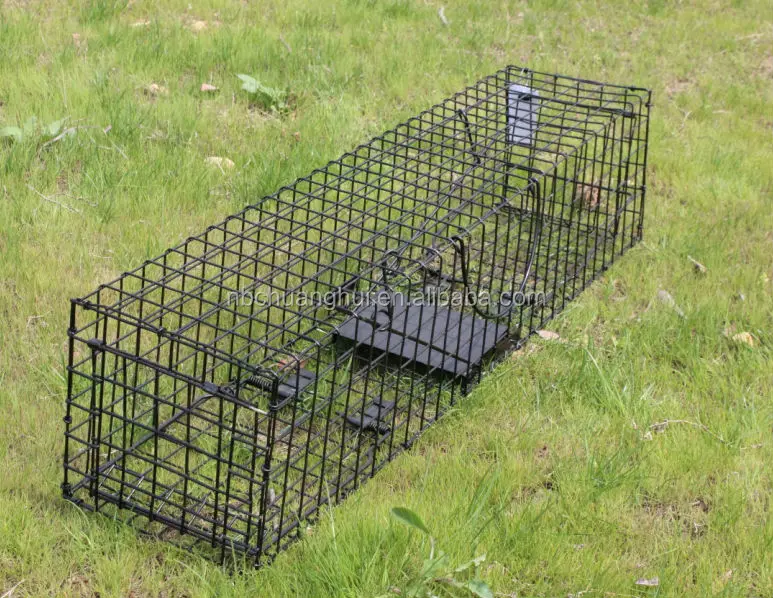 Cage Rat Traps Rat Bird Cat Rabbit Trap Wild Animal Trap For Animals