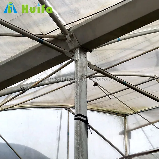 Galvanized Steel Strawberry Greenhouse Farming for sale