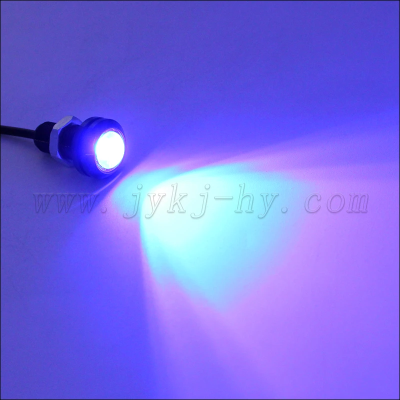 Eagle eye camera lamp with Eagle Eye Camera Cable