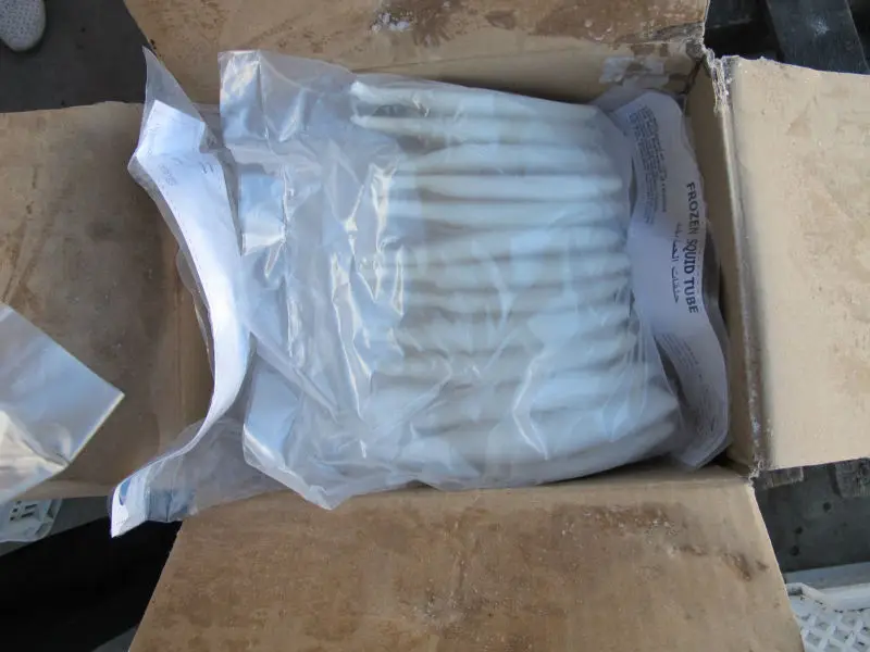 
frozen squid tube U1-U20 