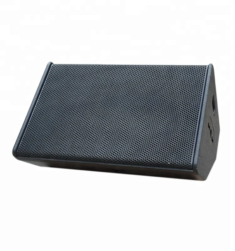 PS12 professional stage speaker