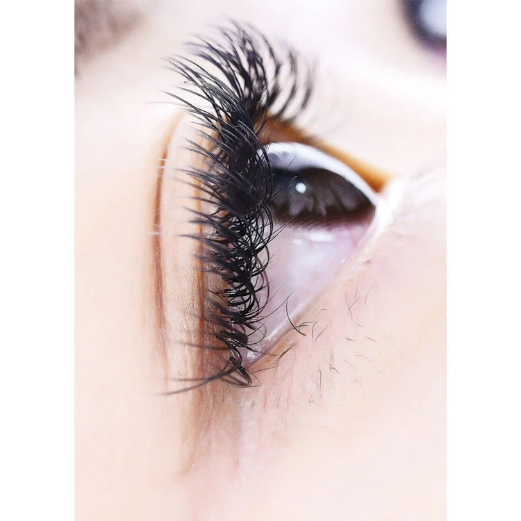 Lively D+ Curl Split Tips Flat Eyelash Extension Wholesale 0.12