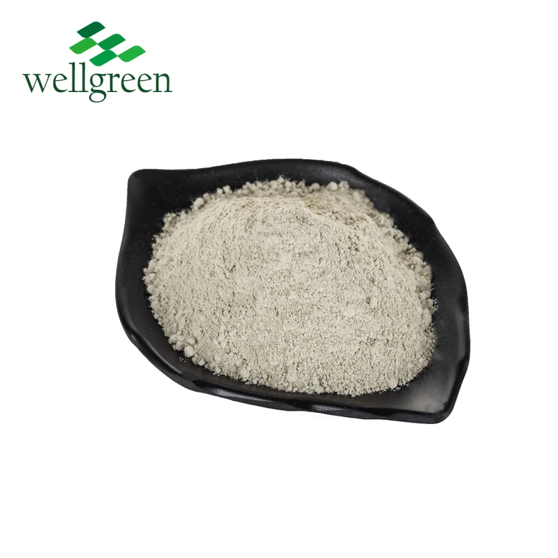 
High Quality Feed Grade Zeolite Clinoptilolite powder Feed Additive for Aquaculture 