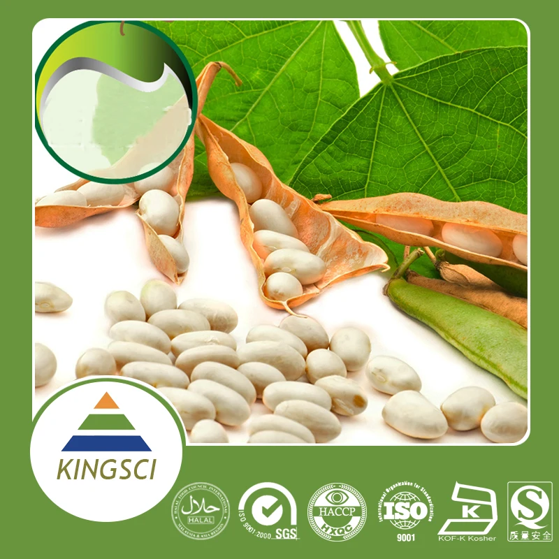 
White Kidney Bean Extract 10:1 20:1 Phaseolin1% 