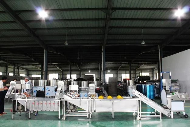 Semi- automatic Fried Potato Chips Production Line / French Fries Making Machine / Frozen Fries Processing plant