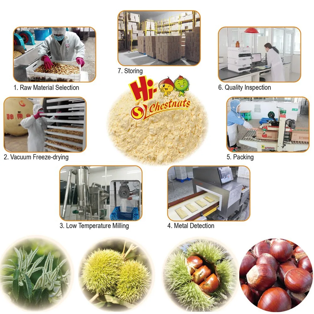 Сублимационной сушке ( FD ) чистый каштаны Flour---nice цвет и лучшее качество