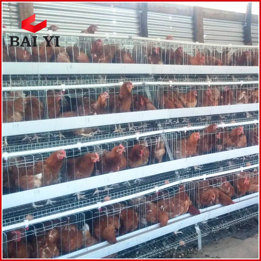 Wholesale Cheap Industrial Chicken Hen House For Sale( A & H type layer chicken cage,good quality)
