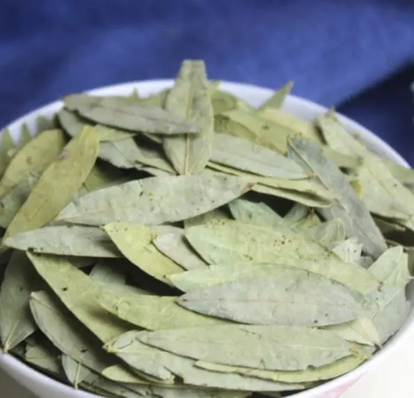 High quality raw Dried natural Indian Senna leaves