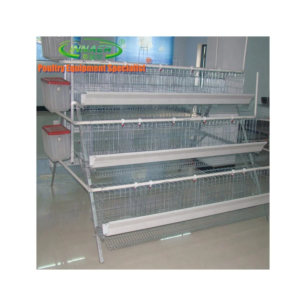 Яичная Клетка Для Птицеводства В