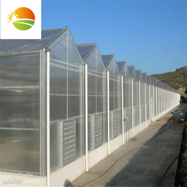 
Commercial multi-span PC sheet polycarbonate greenhouse with hydroponic system 