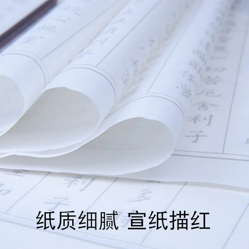 Chinese Calligraphy Rice/Sumi /Xuan Paper For Caliigraphy Writing and Ink Painting