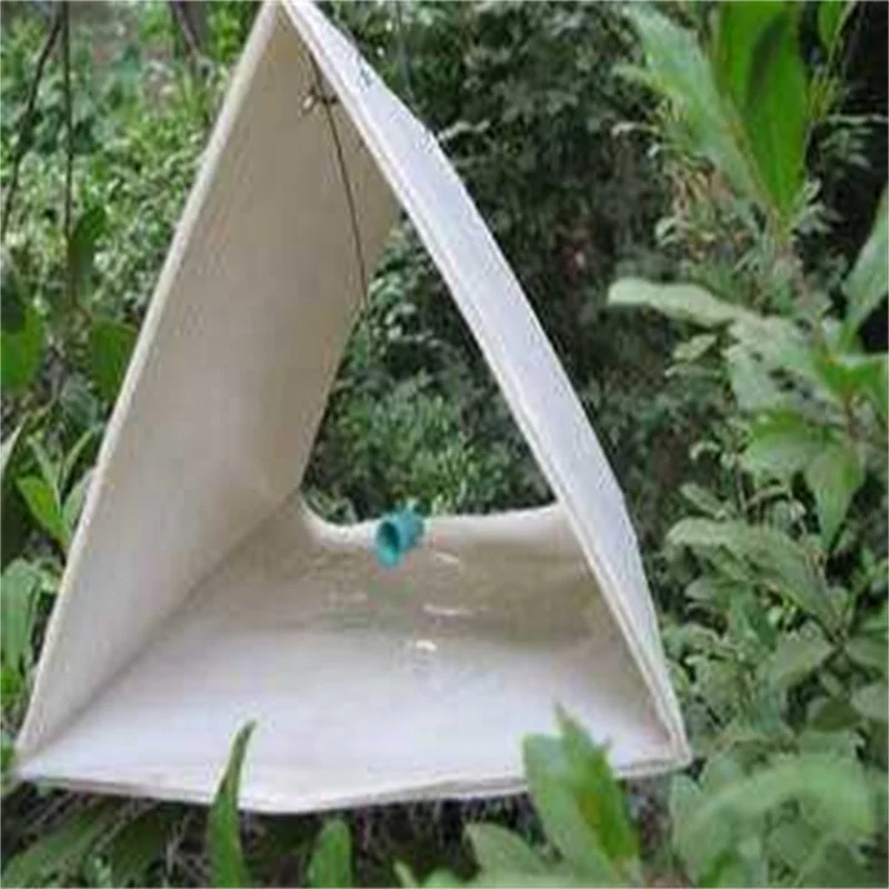 Pheromone Lure for Agrotis Ipsilon Black Cutworm Agrotis ypsilon Rottemberg Attractant Trap