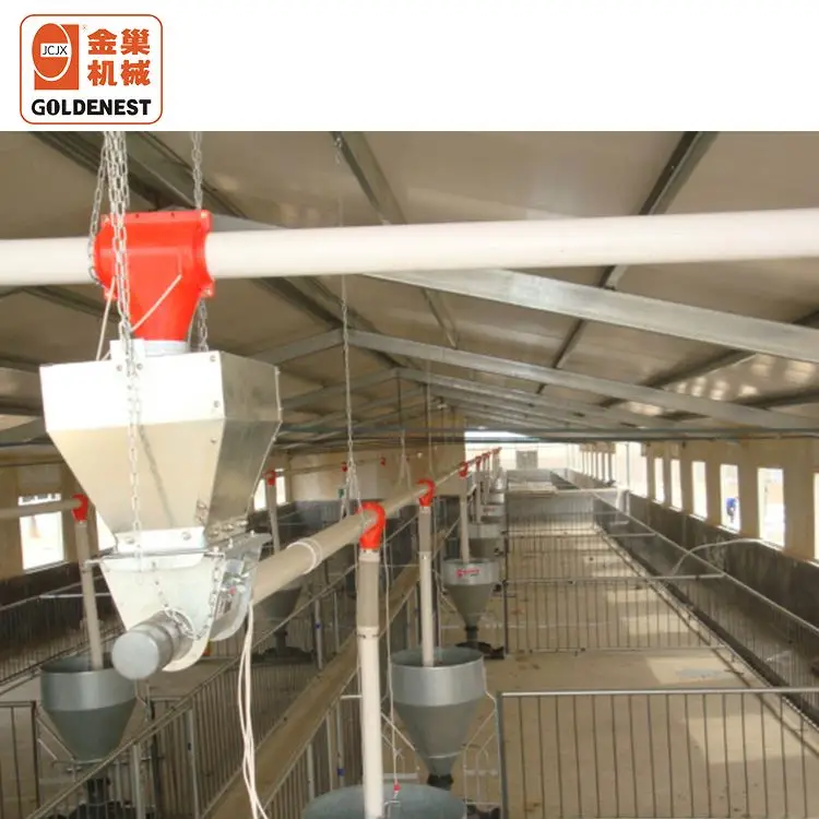 pig raising equipment / pig feeding equipments
