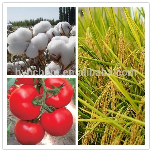 
Agriculture Pesticide Plant Growth Regulator 98%TC Mepiquat Chloride 
