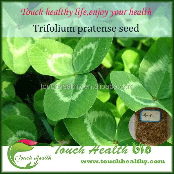 2021 Grass seeds red clover seeds for planting