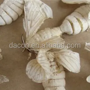 
supply Lyophilized bee Larva Powder 