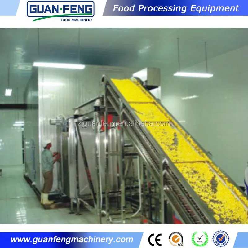 Cheap flash freezer equipment vegetables and fruits IQF freezing machine