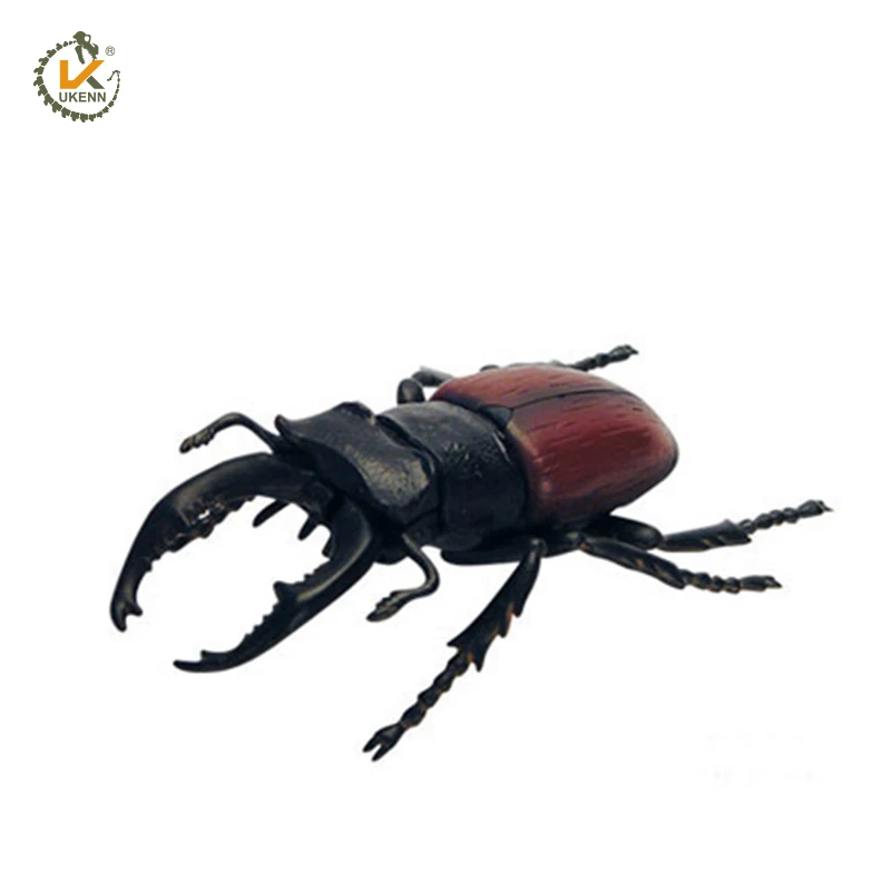 3D PVC Plastic Beetle Insect Toy for Kids Gifts