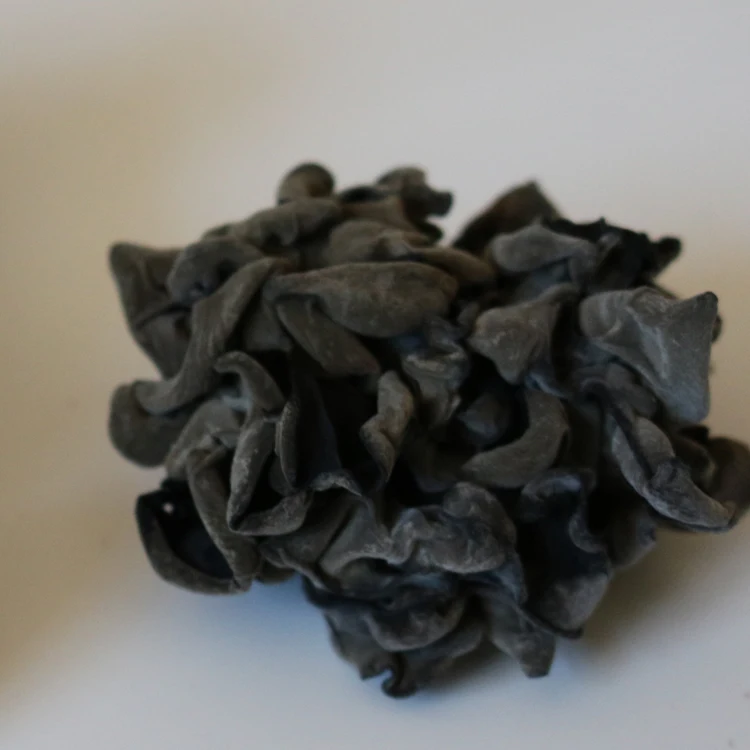 
Herb medicine China dried black tree fungus or wood ear 