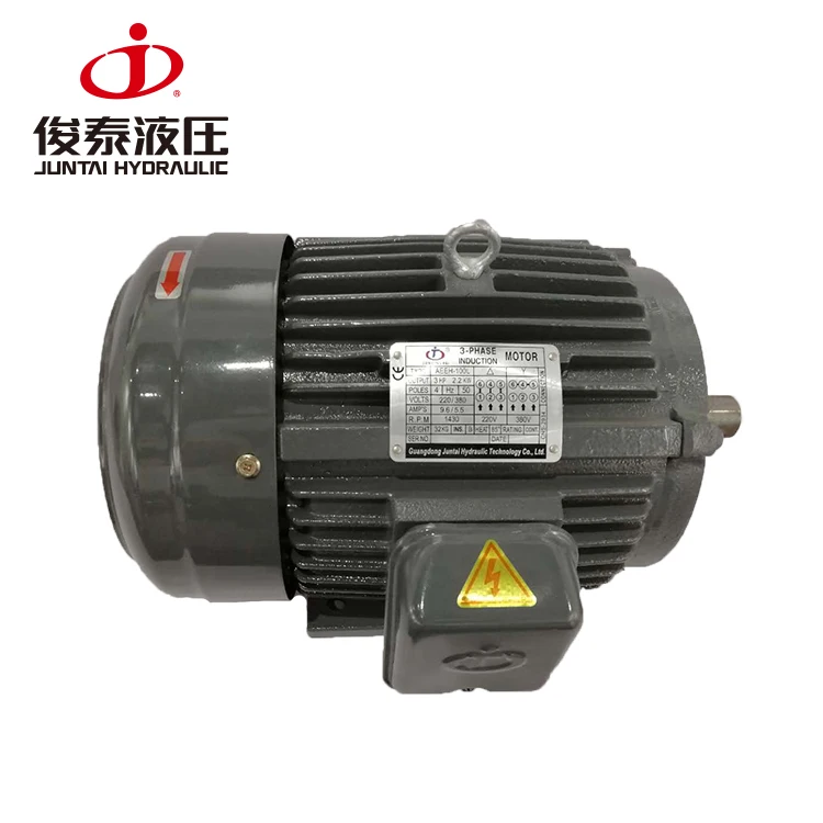 China Supplier 220V AC Asynchronous Motor with Good Offer