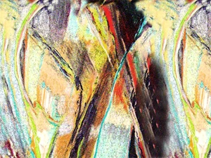 digitally printed silk fabric