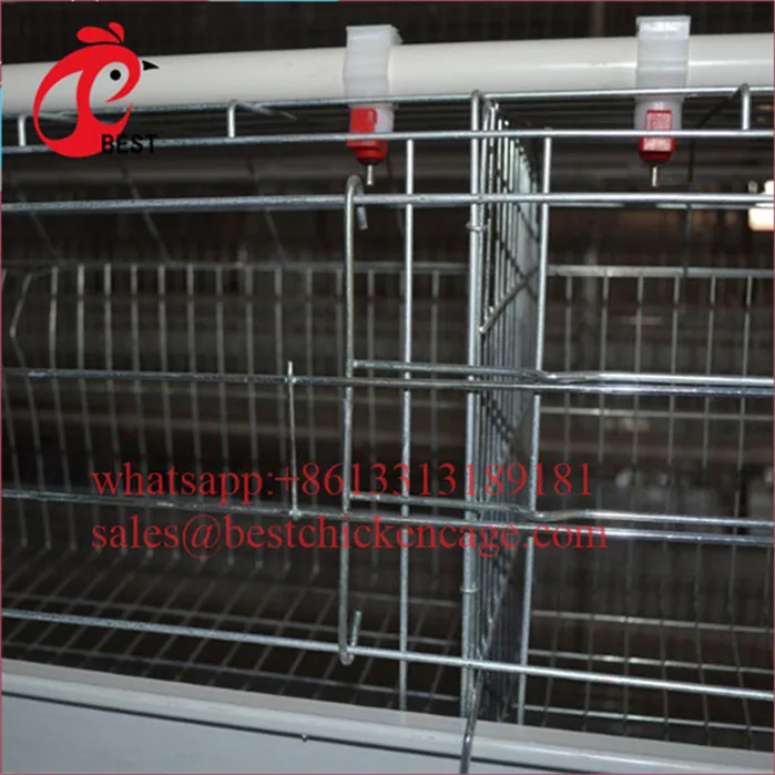 Brand new manufactures bird cages galvanization hot galvanized chicken cage for wholesales