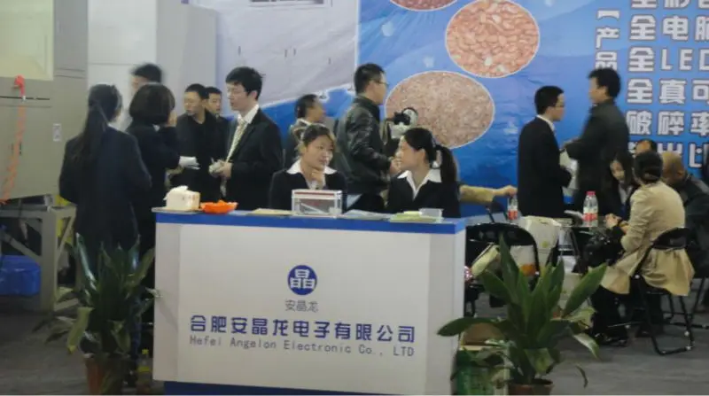 Lentil /pulses/Dals Belt color sorter/processing machine