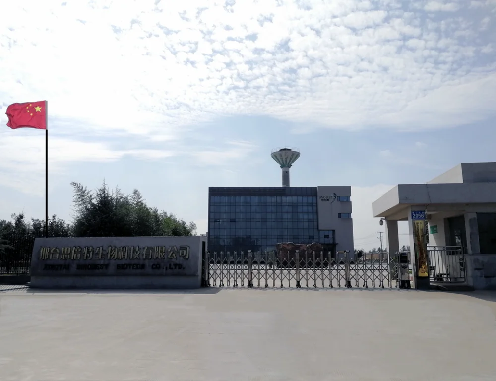 
Mid-Temperature Alpha-Amylase Enzyme Food/Feed/Industiral Grade 