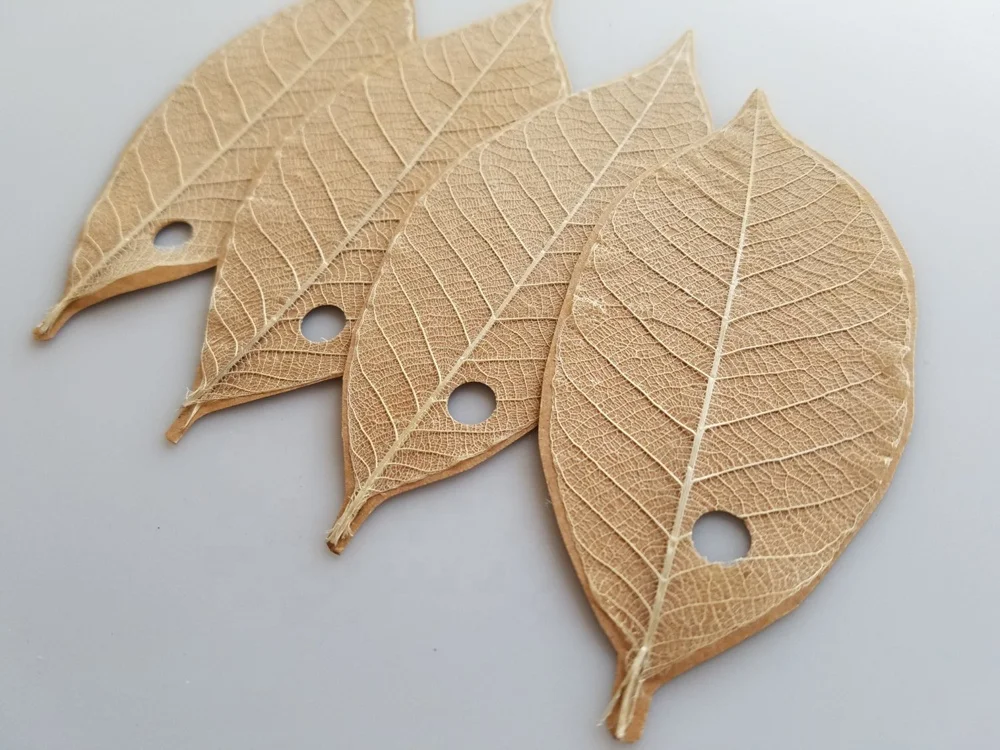 Small Medium Large Bulk Pack Natural Skeleton Leaves For Wedding Table Decoration