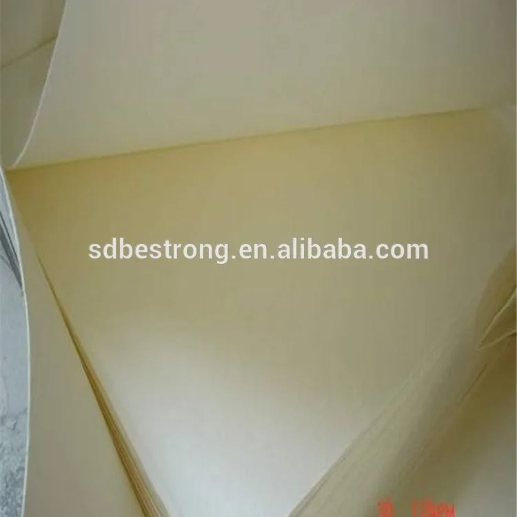 Professional Disposable Bagasse Pulp wit Low Price
