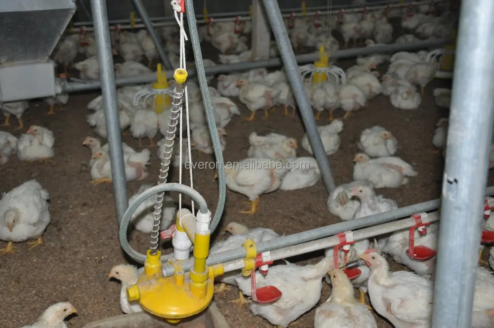 Птицы Сосок Питьевой Системы для Птицеферму