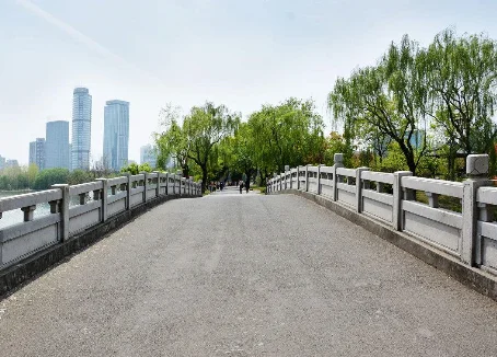 concrete foam additives/cellulose price