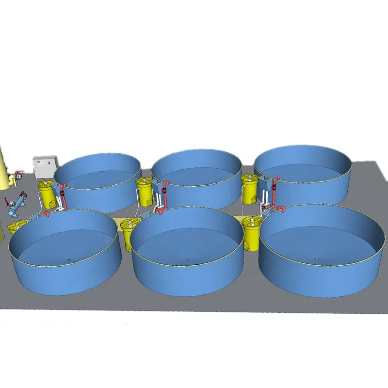 
Indoor recirculating aquaculture system fish farming RAS Solution for Tilapia Fish farming 