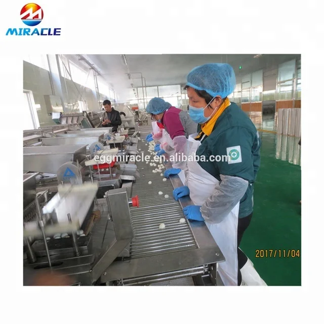 Manufacturer supply low price quail eggs cooking equipment/quail eggs peeling production line
