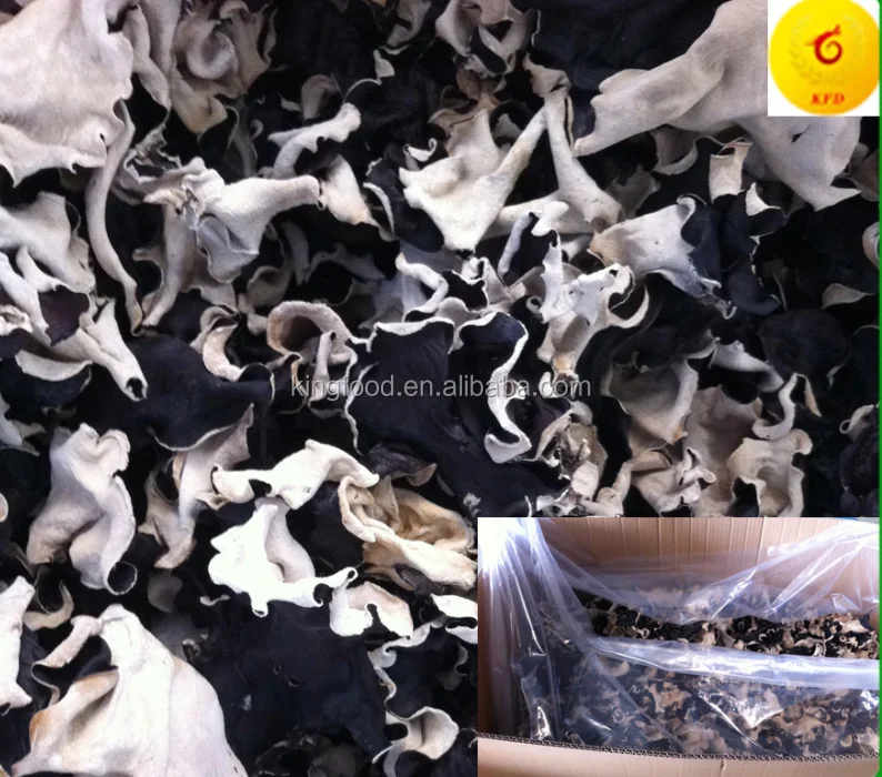 High Quality Black and White Fungus Strip Available