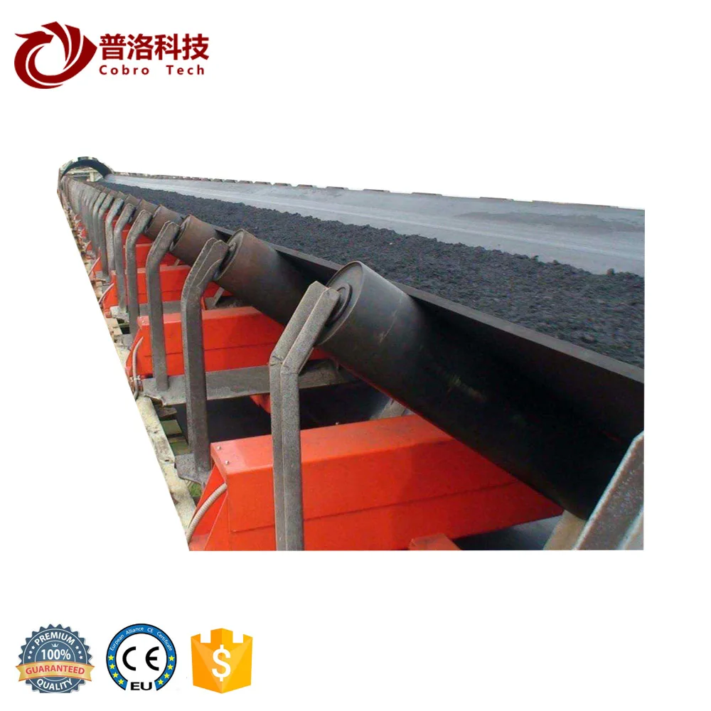 Grain Belt Conveyor For Loading And Unloading Container