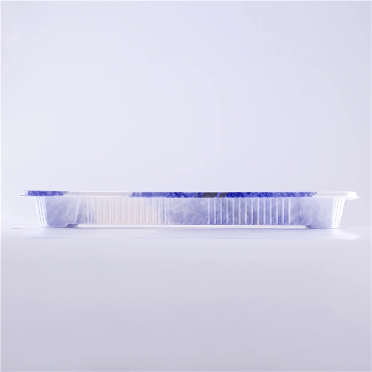 SM1-1102GA Rectangle Disposable Food Plastic Packing Tray Frozen Food Tray for Meat and Fish