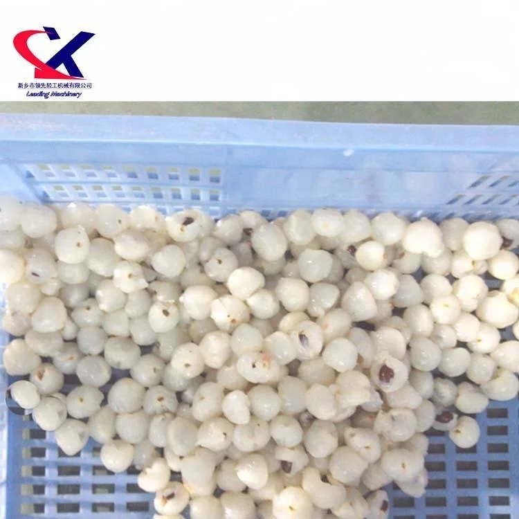 Offer Lychee fruit wine lychee juice 2000kg/h litchi processing plant