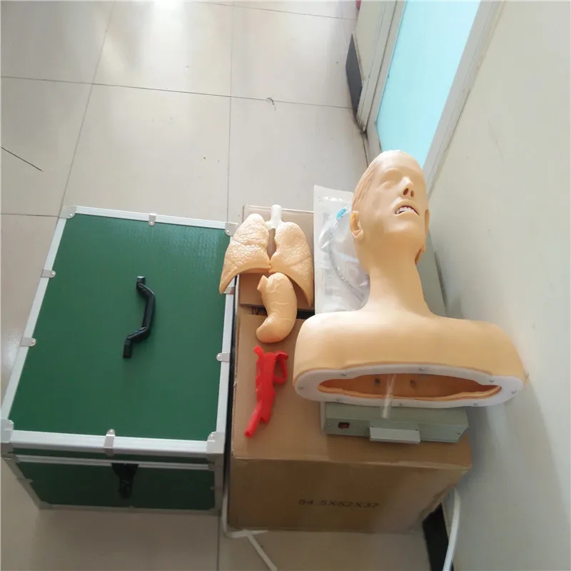 intubation with alarm device airway intubation school teaching training model manikin