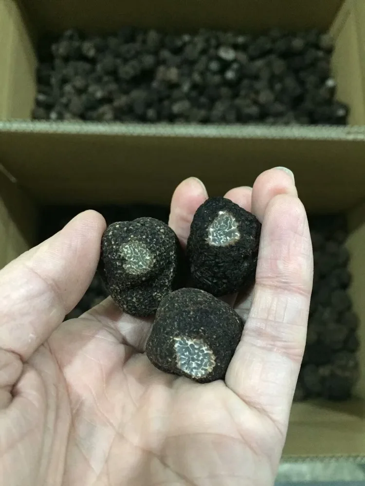 Detan свежий черный трюфель диких грибов