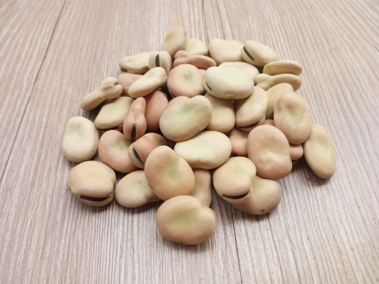 Оптовая продажа, высококачественные сушеные Широкие бобы, фасоль, цена