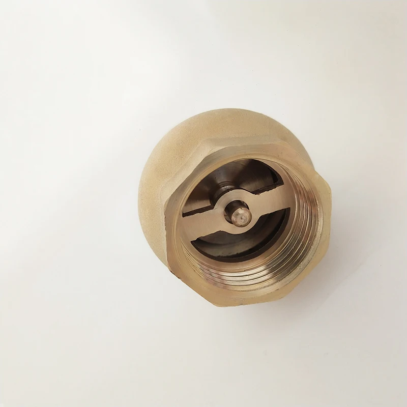 BSP Female Brass Foot Valve And Strainer For Pump