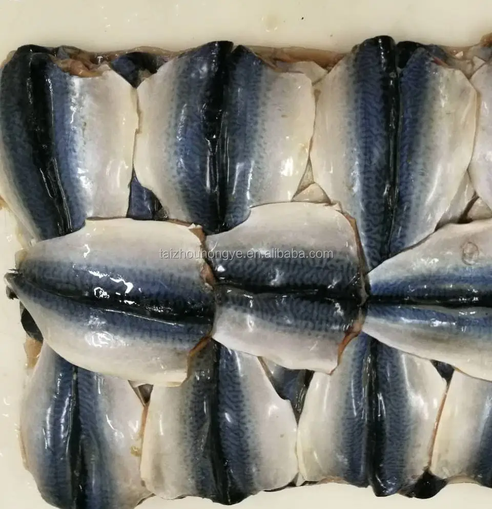 New material frozen pacific mackerel scomber japonicus butterfly flaps fillet for promotion with good quality