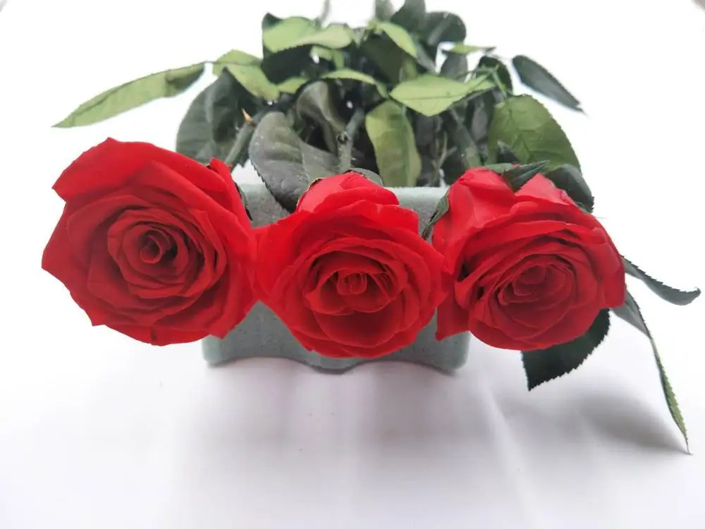 Long last real touch preserved stem rose flower wholesale fresh