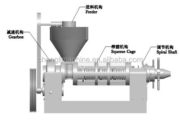 screw oil press machinery avocado oil extraction
