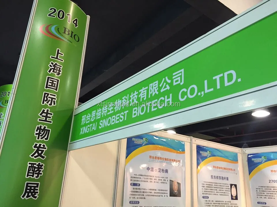 Leather Depilation Alkaline Protease Industry enzyme