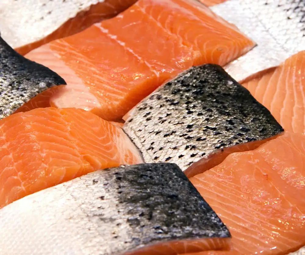 
Farmed salmon 