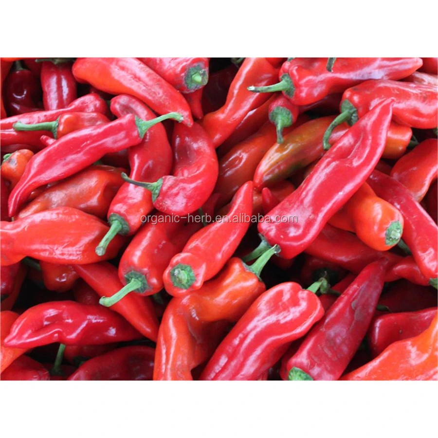 Capsanthin in Paprika Red Capsicum Annuum Pigment