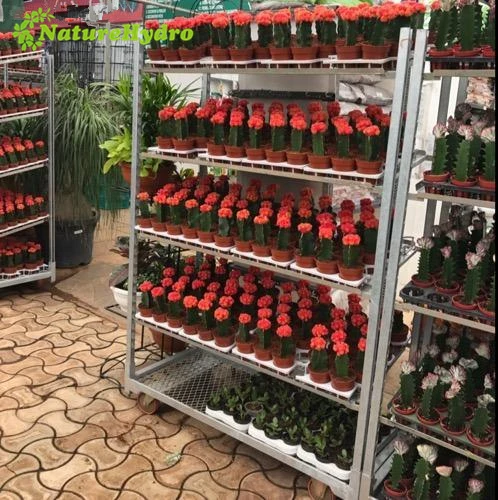 Decorative cc container cabriolet cart danish carts for sale